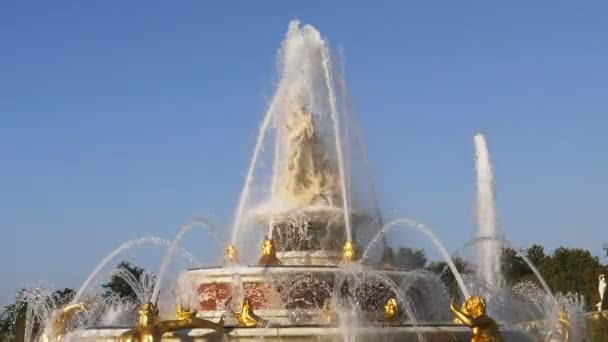 60P Nahaufnahme Eines Brunnens Den Gärten Von Schloss Versailles Paris — Stockvideo
