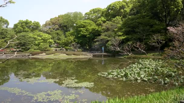 位于日本东京皇宫东花园的科伊池塘桥上 一位游客站在那里 — 图库视频影像