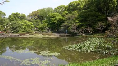 Tokyo, Japonya 'daki İmparatorluk Sarayı' nın doğu bahçesindeki Koi göleti köprüsünde bir turist duruyor.