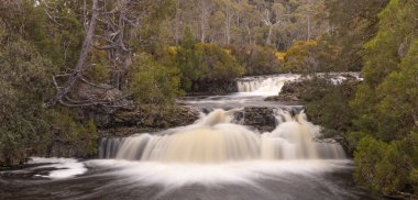 long exposure close up shot of pencil pine cascade at cradle mountain national park in tasmania, australia