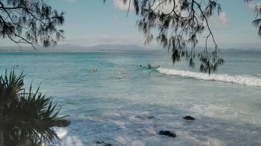 a morning shot of longboard surfers at wategos beach of byron bay in northern nsw, australia