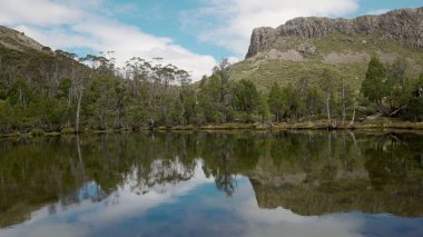 Tazmanya, Avustralya 'daki Kudüs Ulusal Parkı' nın duvarlarında sakin bir Bethesda havuzu.