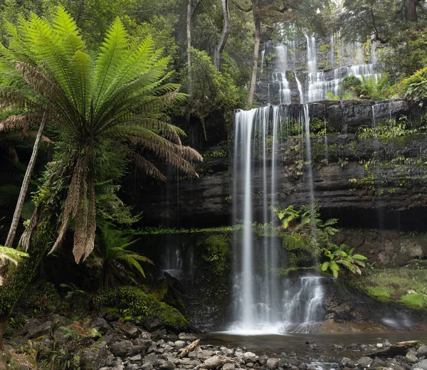 Frontansicht Des Sommerflusses Auf Den Russell Falls Field Nationalpark Tasmanien — Stockfoto