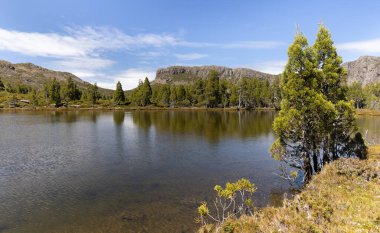 Tazmanya, Avustralya 'daki Kudüs Ulusal Parkı' nın duvarlarındaki Siloam ve Kalem Çam havuzunun sakin yaz sabahı çekimi