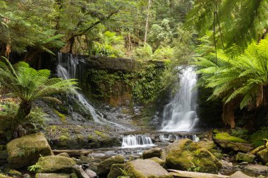 Tazmanya, Avustralya 'daki Mt Field Ulusal Parkı' na at nalı düşüşünün yaz günü çekimi