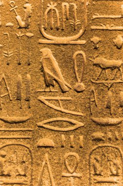 Mısırlı insanların antik yazıları 