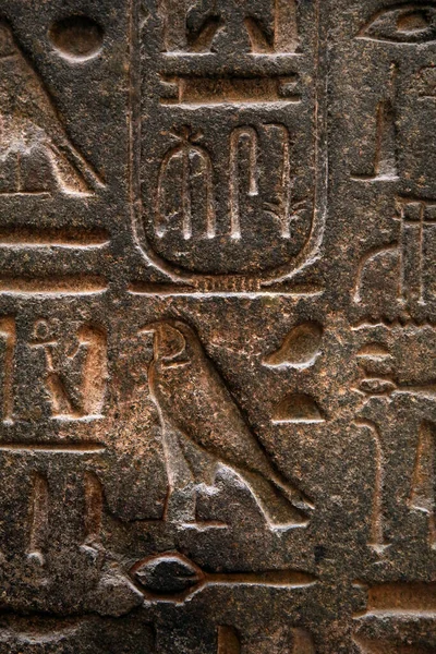 Oude Geschriften Van Egyptenaren — Stockfoto