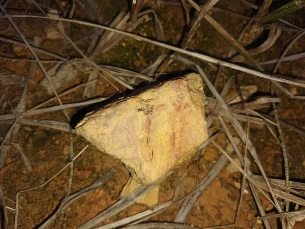 a beautiful little rock in the yard at night