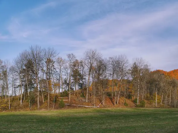 Bomen Het Veld Tegen Hemel Tijdens Herfst — Stockfoto