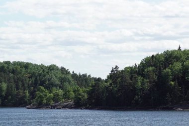 Ağaçlarla çevrili bir su kütlesi.