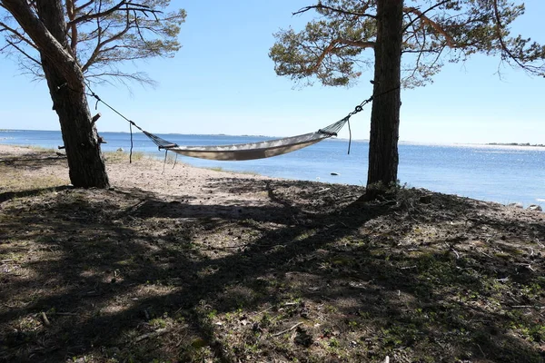 Hangmat Bomen Naast Oceaan Zomer — Stockfoto