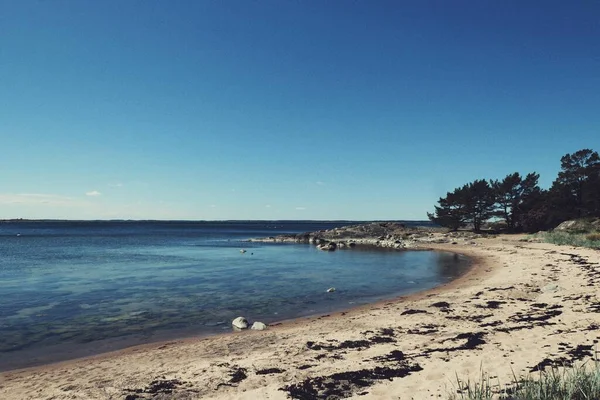 Yaz boyunca okyanusun yanında kumlu bir sahil. 