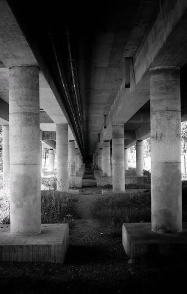 Pilares Bajo Puente Blanco Negro —  Fotos de Stock