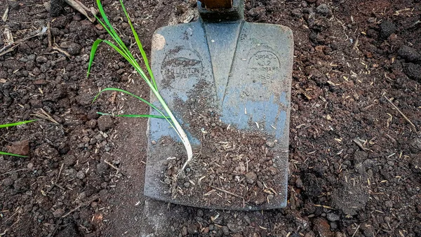 the shovel in a garden with a trowel