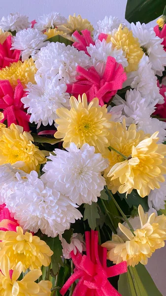 a closeup shot of a beautiful pink and white flowers on a bright background