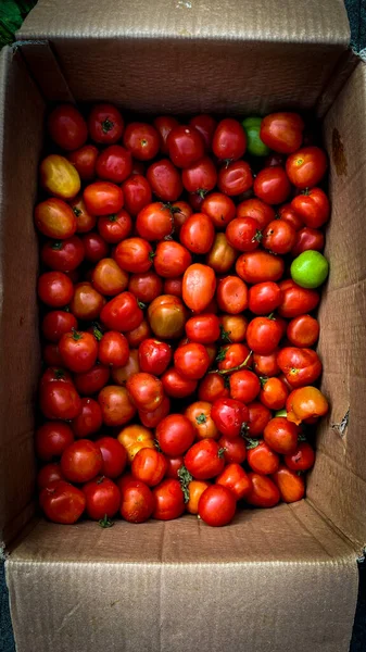 red and green tomatoes in a box