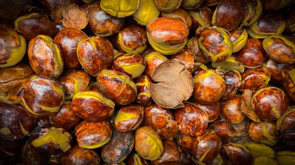chestnuts with a large crust on an organic autumn market.