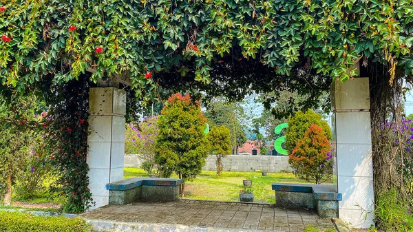 Parkın güzel manzarası