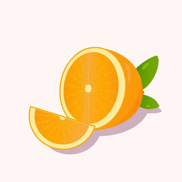 Orangenscheiben Mit Blättern Vektorillustration — Stockvektor