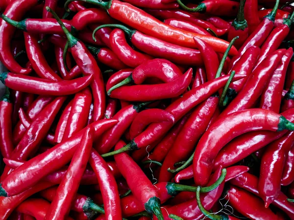 Pile of Spicy Red Chili. Red hot chili pepper on the counter in the market