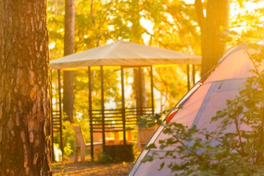 Ormandaki çadırlar. Güzel gün doğumu