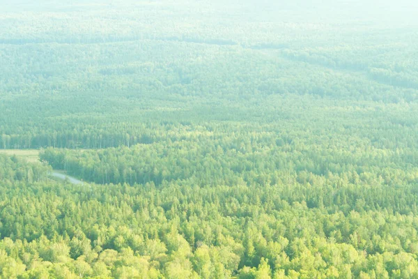 Grüne Hügel Und Bewaldete Berge — Stockfoto