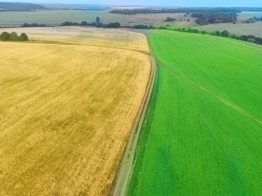 Sıcak hava balonundan tarlalara hava manzarası