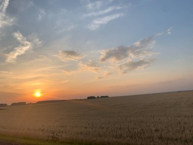 Arpa Tarlası ve Yolu 'nun üzerinde gün batımı