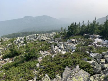 Dağlara ve ormana bak.