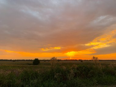 Çayırda gün batımı parlıyor. Yaz zamanı.