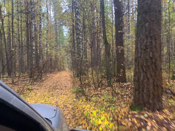 Машина Осінньому Лісі Концепція Подорожей — стокове фото