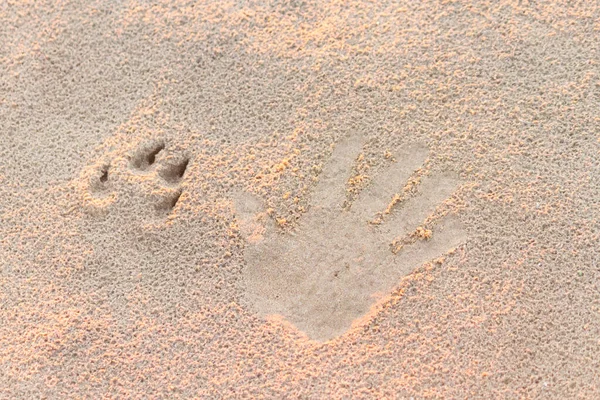 Dog Foot Print Human Hand Print Sand Friendship Concept — Stock Photo, Image