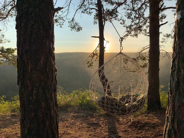 Ormanda Bir Sabah Güneş Işığı — Stok fotoğraf