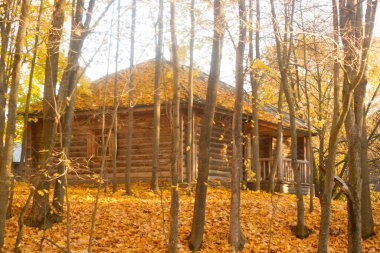 Eski ahşap bir ev. Sonbahar