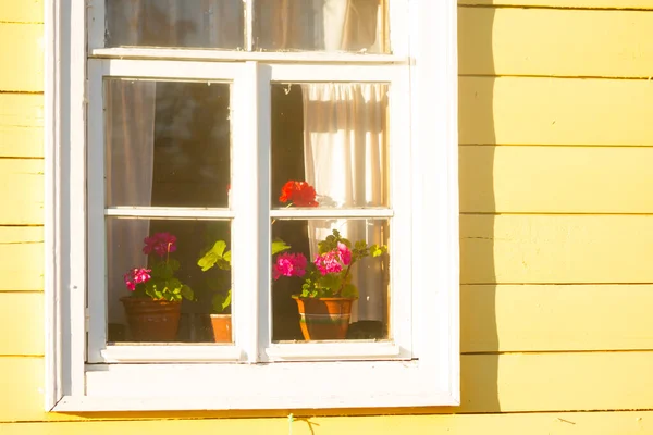 Ein Fenster Des Alten Holzhauses Blumentopf — Stockfoto