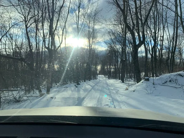 Ormanlar Arasında Kırsal Kış Yolu — Stok fotoğraf