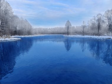 Dondurulmamış küçük gölü olan kış manzarası.