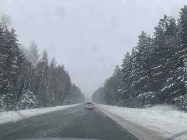 Çam ağacı ormanında karlı bir yol. Kış yolculuğu konsepti