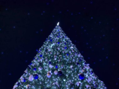 Geceleri ışıklı Noel ağacı