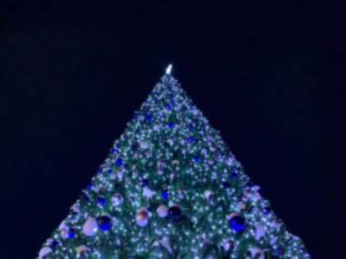 Geceleri ışıklı Noel ağacı