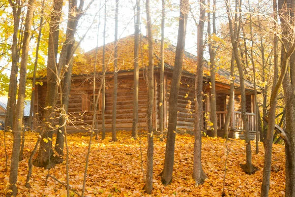 Altes Gemütliches Holzhaus Herbst — Stockfoto