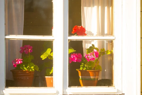 Ein Fenster Des Alten Holzhauses Blumentopf — Stockfoto