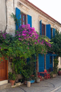 Ünlü, turistik Ege kasabası Alacati 'de tarihi, geleneksel bir taş ev ve bougainvillea çiçeği manzarası. Bu, Cesme ilinin bir köyüdür. Güneşli bir yaz günü.