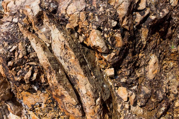 Close up view of a volcanic rock