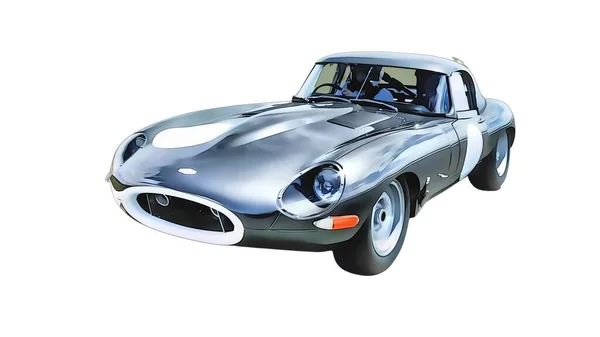 Illustration Isolated Jaguar Type High Quality Illustration — 스톡 사진