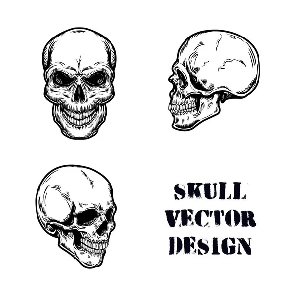 Skull Set Hand Drawn Detailed Easy Edit — Stock Vector