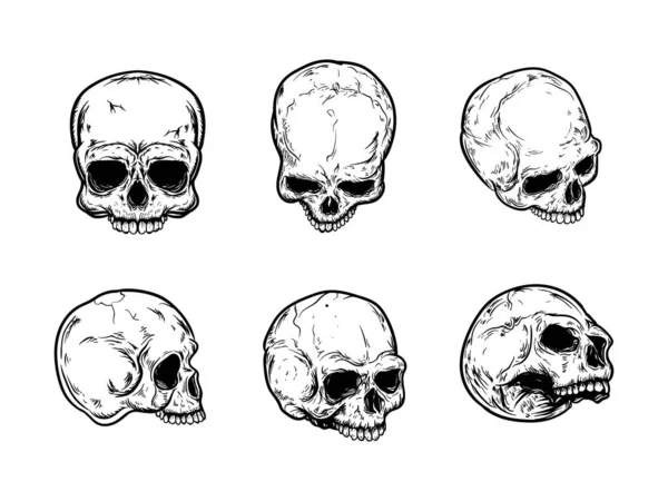 Skull Set Collection Hand Drawn Detailed Easy Edit — Vetor de Stock