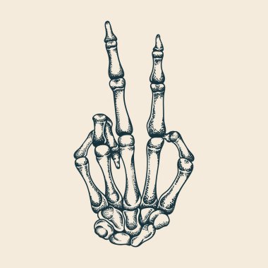 Hand bones peace finger vector detailed and easy to edit