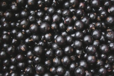 Siyah üzümler masaya döküldü.