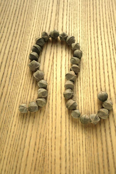 astrological and astronomical symbol of Leo